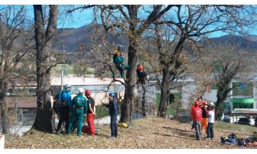 CORSO TREE CLIMBING E CORSO FUNI ARTIFICIALE
