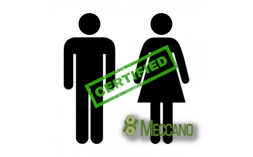 Immagine articolo Meccano - Certificazione della parità di genere secondo la UNI PdR 125:2022